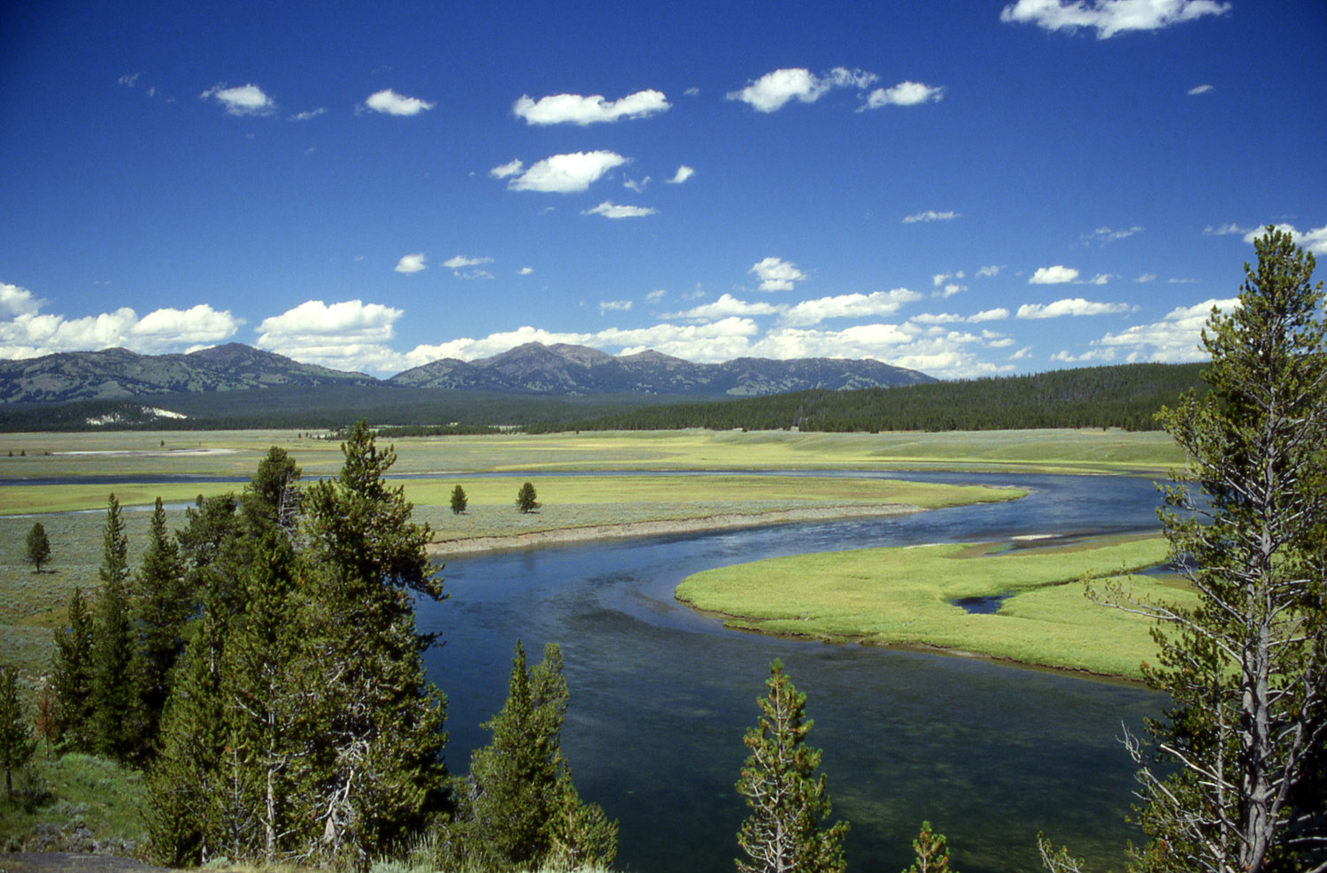 The Yellowstone River in Yellowstone National Park.